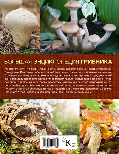 Большая энциклопедия грибника - фото 2