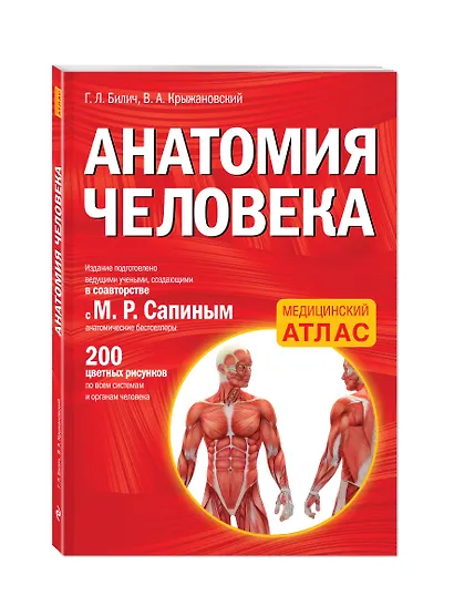 Анатомия человека - фото 3