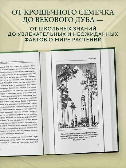 Занимательная ботаника. Лучшие советские учебники - фото 5