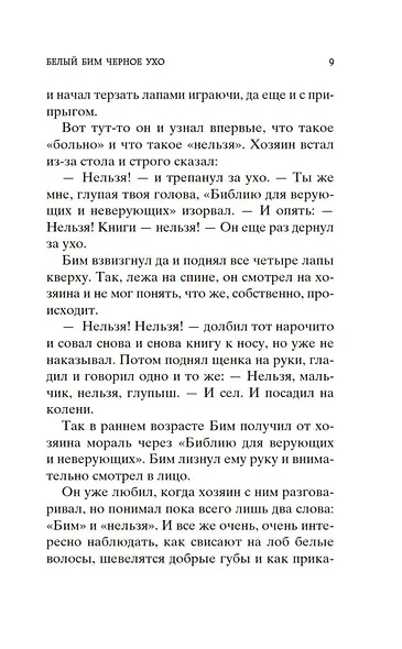 Белый Бим Черное ухо - фото 11