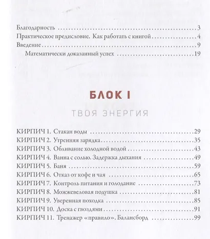 50 кирпичей успеха - фото 2