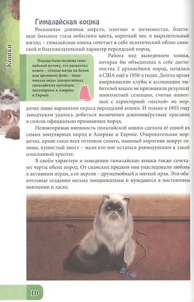 ЭНЦИКЛОПЕДИЯ. В МИРЕ ЗНАНИЙ. ВСЁ О КОШКАХ - фото 4