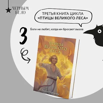 Трилогия Золотые земли (Золотые земли. Сокол и Ворон+Золотые земли. Совиная башня+Золотые земли. Птицы Великого леса) - фото 4