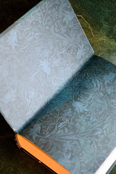 Близнецы. Том 1 - фото 6