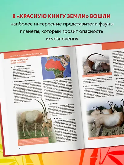Красная книга Земли - фото 5