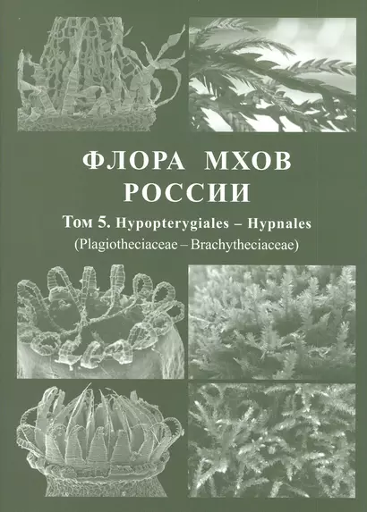 Флора мхов России. Том 5. Hypopterygiales - Hypnales (Plagiotheciaceae - Brachytheciaceae) - фото 1