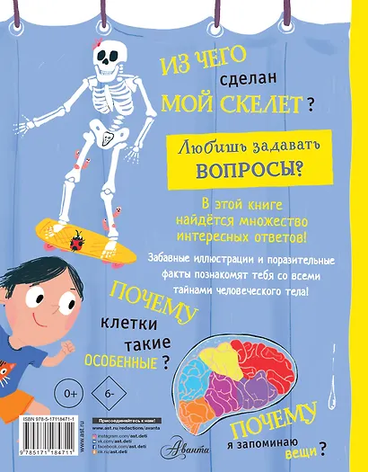 Тело человека - фото 2