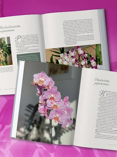 Великолепные орхидеи. Практичное руководство по уходу для начинающих - фото 10