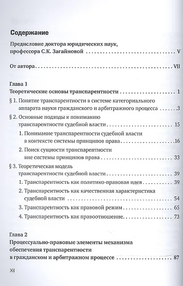 Транспарентность в цивилистическом процессе - фото 2