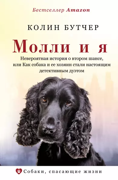 Молли и я. Невероятная история о втором шансе, или Как собака и ее хозяин стали настоящим детективным дуэтом - фото 1