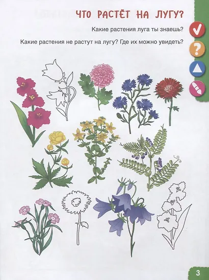 Удивительное рядом. Ребенок и окружающий мир. Альбом наблюдений. 5-6 лет - фото 2
