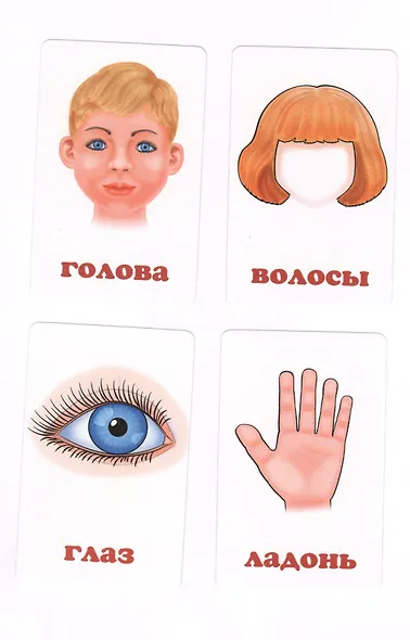 Части тела и эмоции Развивающие карточки (17-4112) (3+) (упаковка) - фото 2