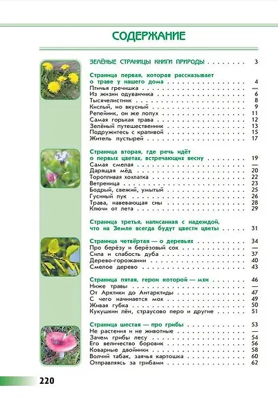 Плешаков. Зелёные страницы. /ШкР - фото 2