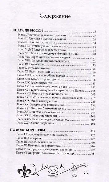 Шпага де Бюсси - фото 6