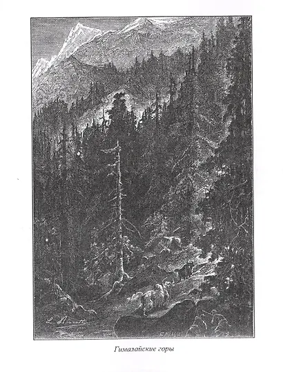 Паровой дом - фото 5