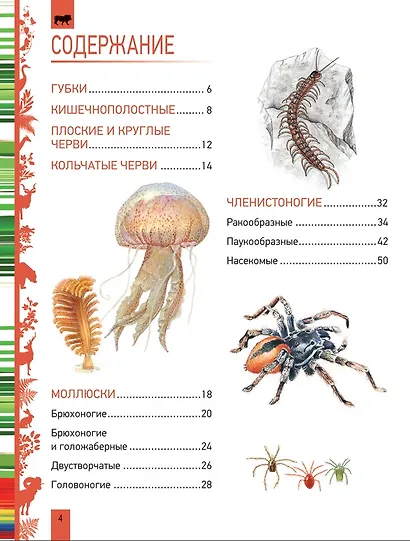Животные. Большая энциклопедия - фото 2
