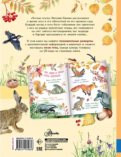 Лесная газета - фото 2