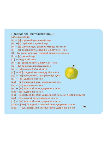 Тренажер - перевертыш. Мои первые английские слова - фото 8