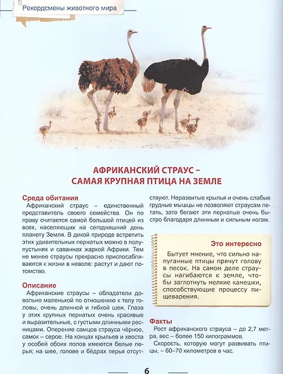 Энциклопедия для детей рекордсмены животного мира - фото 5