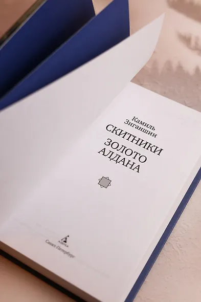 Скитники. Золото Алдана - фото 11