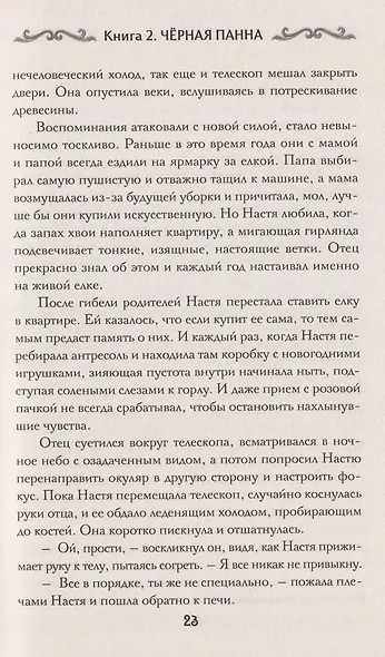 Агент призрака. Книга 2. Чёрная Панна - фото 6