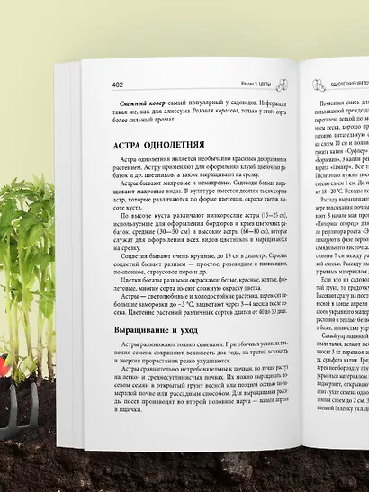 Дачная библия садовода и огородника (новое оформление) - фото 12