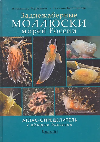 Заднежаберные моллюски морей России. Атлас-определитель с обзором биологии - фото 2
