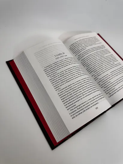 Мария I. Королева печали - фото 11