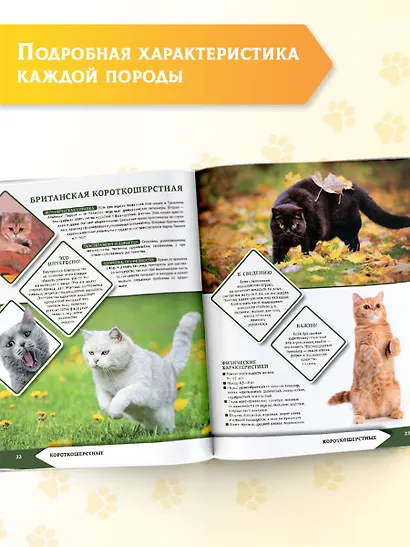 Большая энциклопедия о кошках и собаках - фото 7
