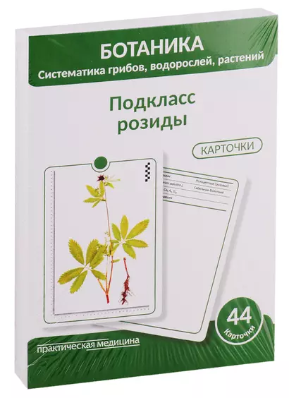 Ботаника. Систематика грибов, водорослей, растений. Подкласс розиды. 44 карточки - фото 1