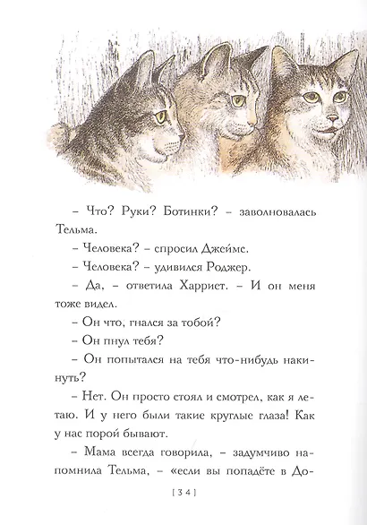 Крылатые кошки - фото 2