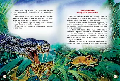 Большая книга рассказов - фото 6