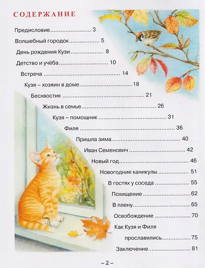 Волшебник по имени Кузя - фото 6