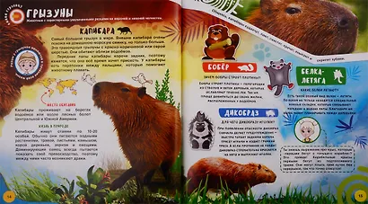WOW! Животные. WOW! Чудеса света. Энциклопедии в дополненной реальности (Комплект из 2 книг) - фото 5