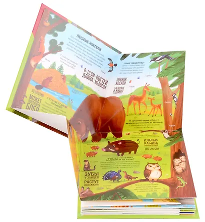Животные : книжка-трансформер - фото 5