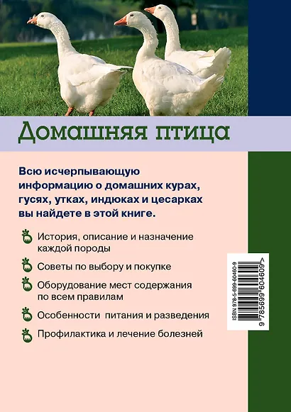 Домашняя птица - фото 2