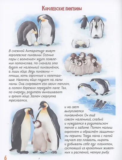 Про наших хвостатых друзей - фото 7