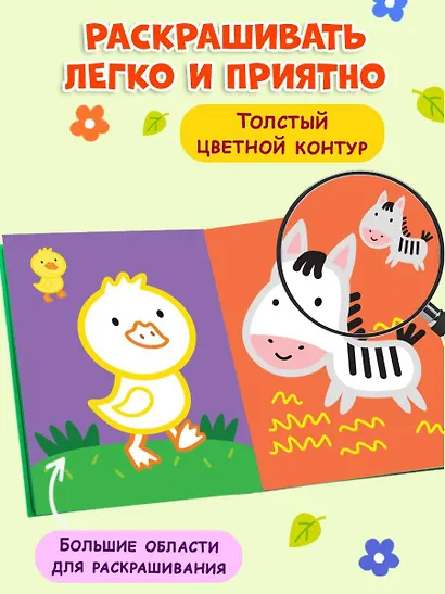 Раскраска с цветным контуром (Зебра) - фото 5