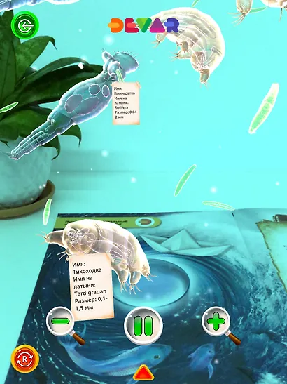 Большая энциклопедия DEVAR в дополненной реальности - фото 7