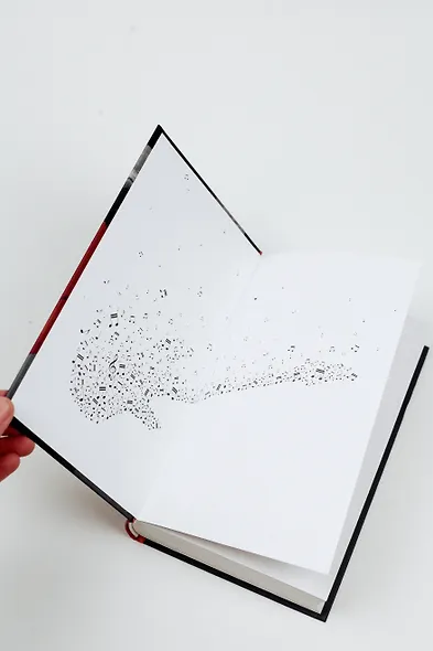 Пой. История Тома Фрая - фото 9