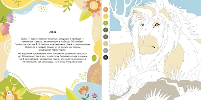 Животные - фото 11