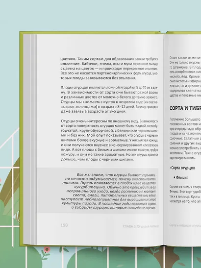 Теплица без ошибок. Все, что нужно знать, чтобы получить ранний и богатый урожай - фото 13