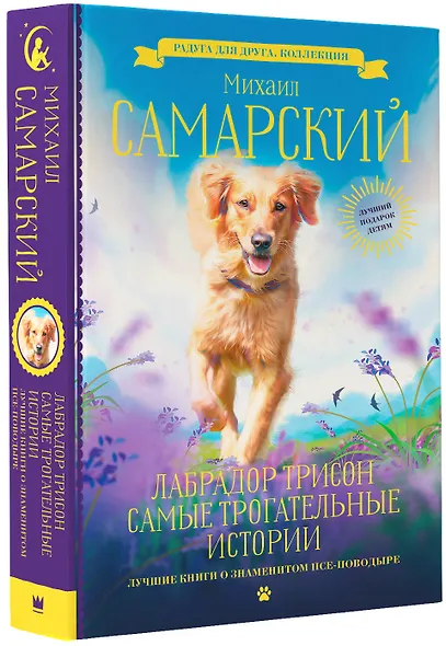 Лабрадор Трисон. Самые трогательные истории - фото 3