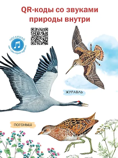 Рассказы о природе - фото 6