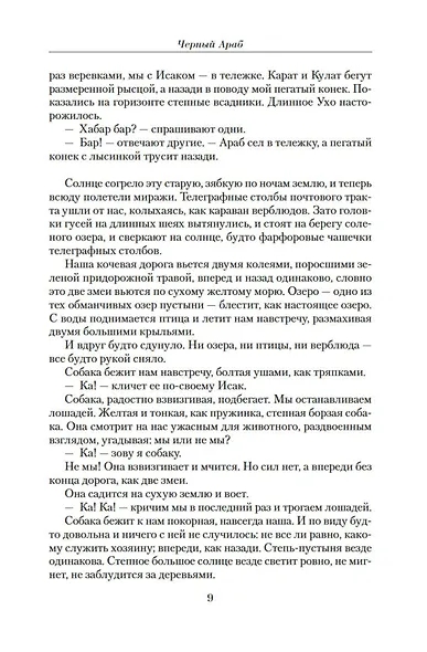 Малое собрание сочинений - фото 12