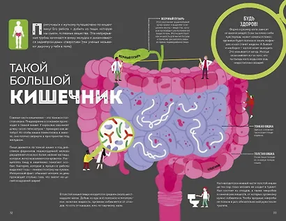 Тело человека. Как работает наш удивительный организм - фото 6