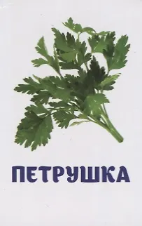 Овощи и зелень. Развивающие карточки - фото 2