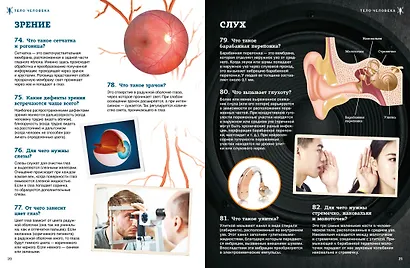 Тело человека - фото 7