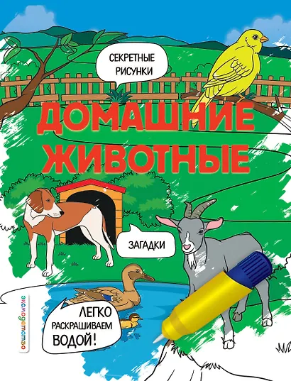 Домашние животные - фото 1