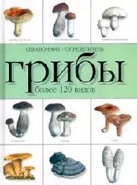 Справочник-определитель.Грибы.Более 120 видов - фото 1